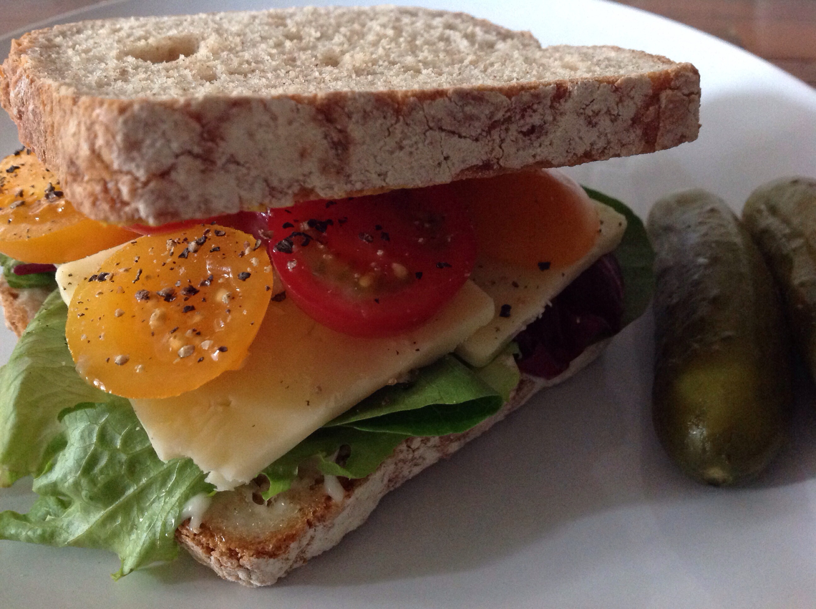 cheese and tomato sammie